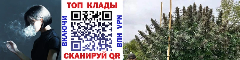 Продажа наркотиков Ленск Конопля  Амфетамин  A PVP  Меф мяу мяу  Кокаин 