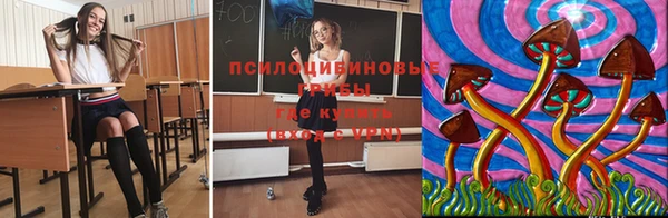 СК Балахна