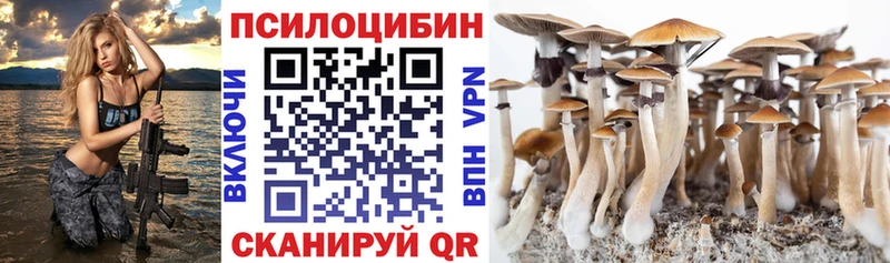 купить наркотик  Ленск  Галлюциногенные грибы мицелий 